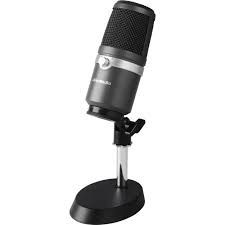 Avermedia AM310 Micro Phone