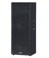 Mega Sound Column P 219 T With One Year Warranty