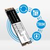 Team 512gb Ms30 M.2 Ssd Drive Internal 1 Year Warranty