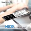 Team 512gb Ms30 M.2 Ssd Drive Internal 1 Year Warranty