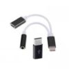 Type C To Type C+ Audio Jack (rechargable)