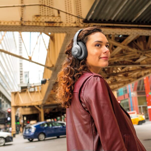 Jbl V310btgml Bluetooth Earphone