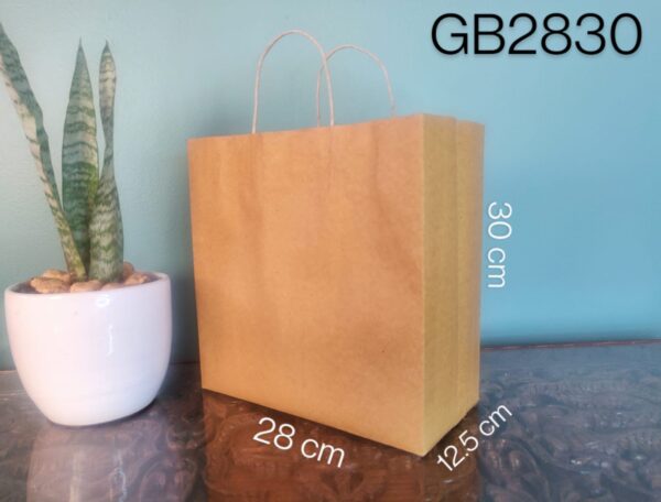 Paper Bag with Paper Hanndle (30*28*12.5cm)Set of 25 pcs (GB2830)